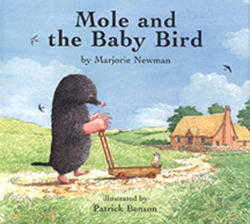 Beispielbild fr Mole and the Baby Bird zum Verkauf von Seattle Goodwill