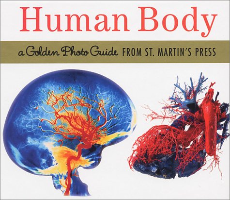 Stock image for The Human Body: A Golden Photo Guide from St. Martins Press for sale by Goodwill Books