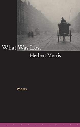 Beispielbild fr What Was Lost: Poems zum Verkauf von BooksRun