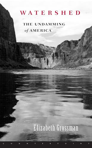 Beispielbild fr Watershed : The Undamning of America zum Verkauf von Books to Die For