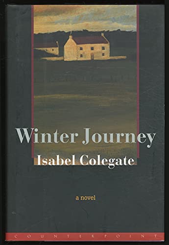 Beispielbild fr Winter Journey zum Verkauf von Wonder Book