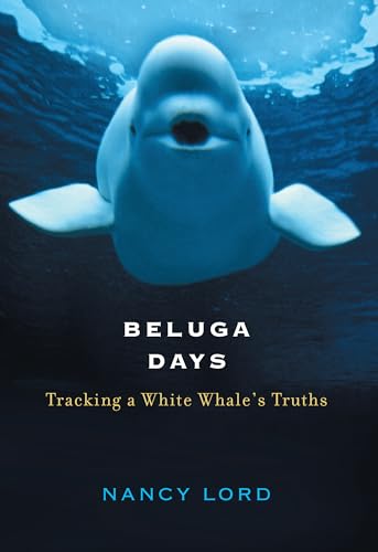 Beispielbild fr Beluga Days : Tracking a White Whale's Truths zum Verkauf von Better World Books