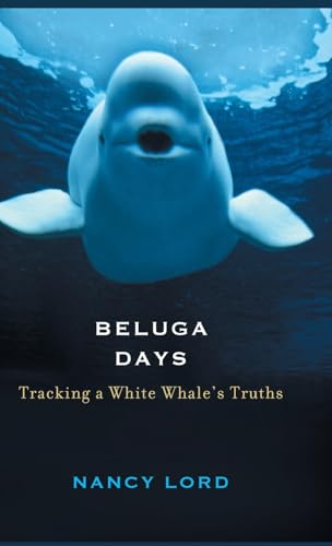 Stock image for Beluga Days : Tracking a White Whale's Truths for sale by Better World Books