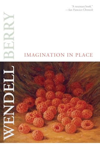 Beispielbild fr Imagination in Place zum Verkauf von Better World Books