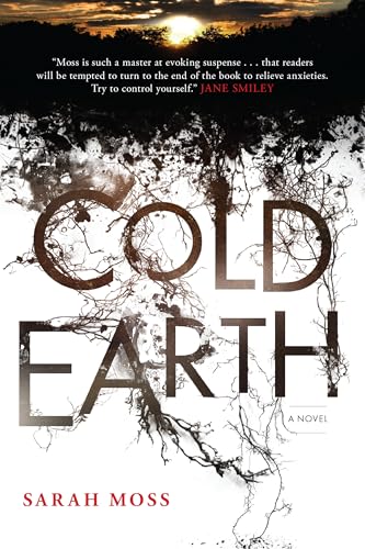 Imagen de archivo de Cold Earth: A Novel a la venta por BooksRun