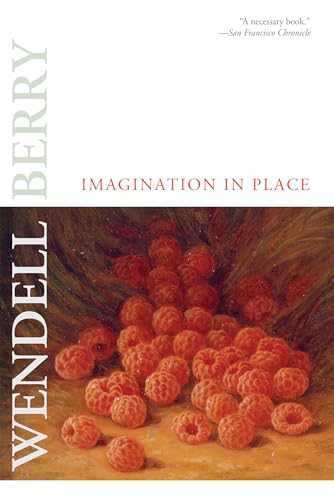 Beispielbild fr Imagination in Place zum Verkauf von Ergodebooks