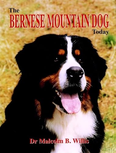 9781582450384: The Bernese Mountain Dog Today