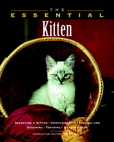 Beispielbild fr The Essential Kitten (Howell Book House's Essential) zum Verkauf von Wonder Book