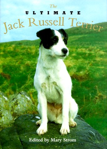 Beispielbild fr Ultimate Jack Russell Terrier zum Verkauf von SecondSale