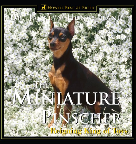 Stock image for Miniature Pinscher : Reigning King of Toys for sale by Better World Books