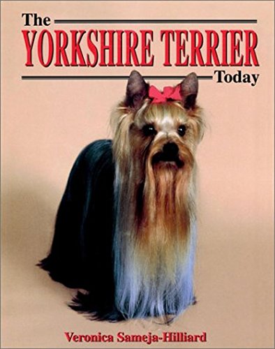 Stock image for The Yorkshire Terrier Today for sale by Better World Books