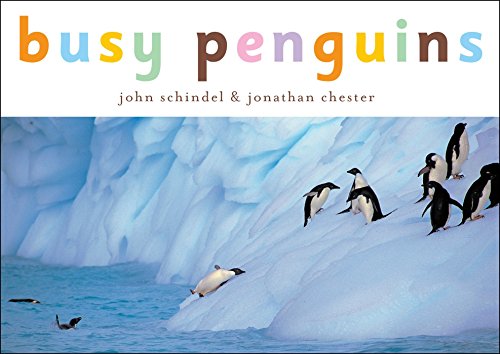9781582460161: Busy Penguins (A Busy Book)