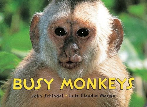 Imagen de archivo de Busy Monkeys a la venta por Better World Books