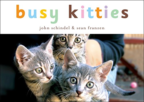 Imagen de archivo de Busy Kitties (A Busy Book) a la venta por Once Upon A Time Books