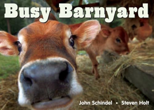 9781582461687: Busy Barnyard (A Busy Book)