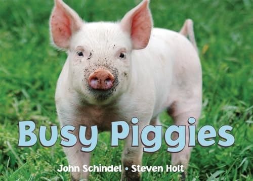 Stock image for Busy Piggies (A Busy Book) for sale by SecondSale