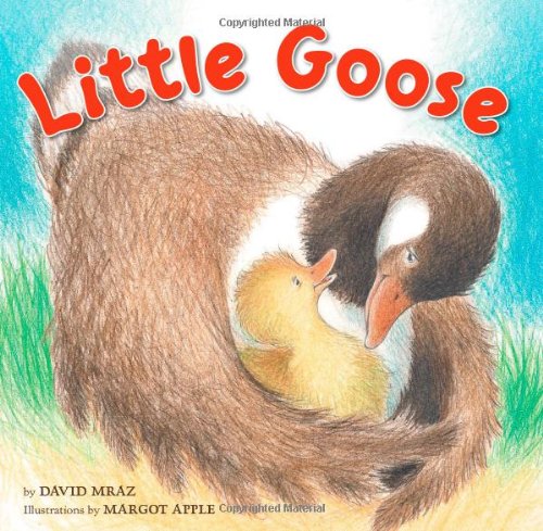 Beispielbild fr Little Goose zum Verkauf von Wonder Book