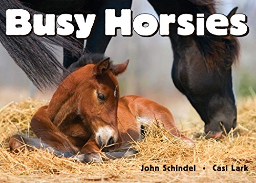Stock image for Busy Horsies (A Busy Book) for sale by SecondSale