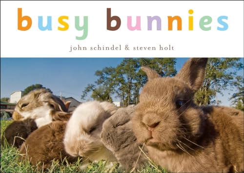 Beispielbild fr Busy Bunnies zum Verkauf von Better World Books