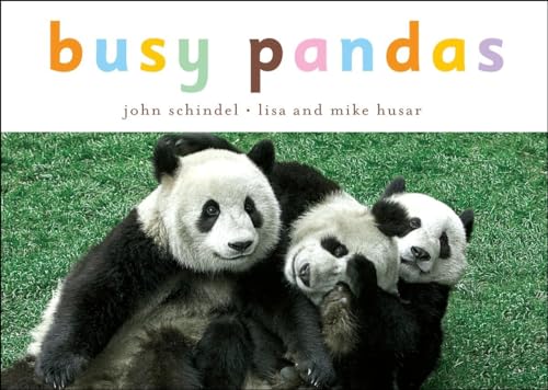 Beispielbild fr Busy Pandas (A Busy Book) zum Verkauf von SecondSale