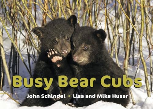 9781582463025: Busy Bear Cubs (A Busy Book)