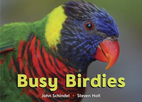 Imagen de archivo de Busy Birdies a la venta por ThriftBooks-Dallas