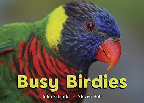 Stock image for Busy Birdies for sale by Better World Books