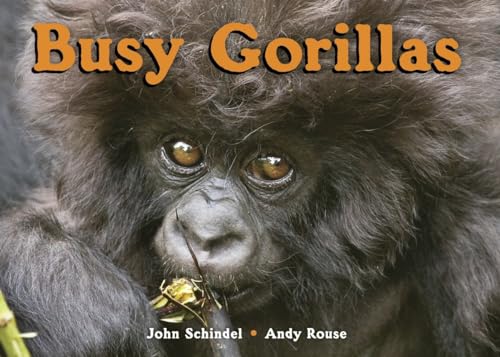 Imagen de archivo de Busy Gorillas (A Busy Book) a la venta por BombBooks