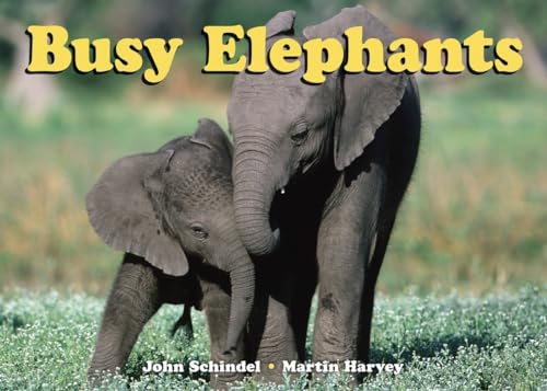 Beispielbild fr Busy Elephants (A Busy Book) zum Verkauf von Off The Shelf