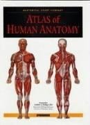 Stock image for Atlas of Human Anatomy for sale by Better World Books: West