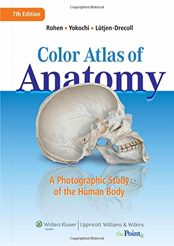 Beispielbild fr Color Atlas of Anatomy: A Photographic Study of the Human Body zum Verkauf von HPB-Red