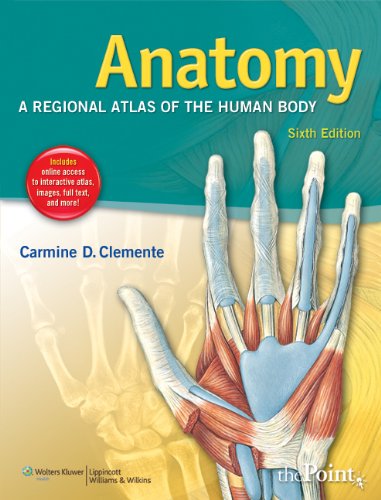 Beispielbild fr Anatomy: A Regional Atlas of the Human Body (ANATOMY, REGIONAL ATLAS OF THE HUMAN BODY (CLEMENTE)) zum Verkauf von BooksRun
