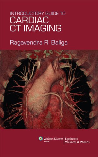 Stock image for Introductory Guide to Cardiac CT Imaging for sale by Better World Books Ltd