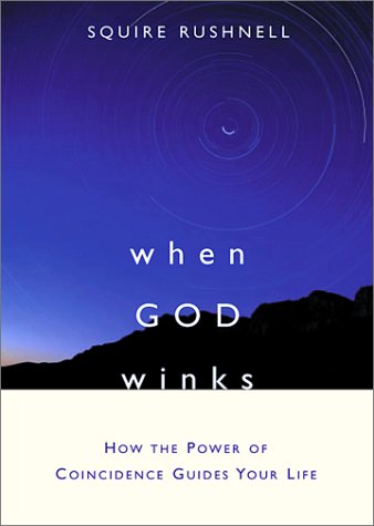 Beispielbild fr When God Winks : How the Power of Coincidence Guides Your Life zum Verkauf von The Maryland Book Bank