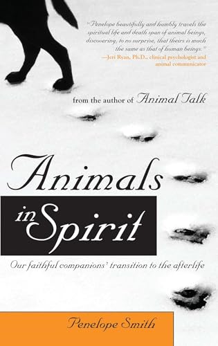 Beispielbild fr Animals in Spirit : Our Faithful Companions' Transition to the Afterlife zum Verkauf von Better World Books