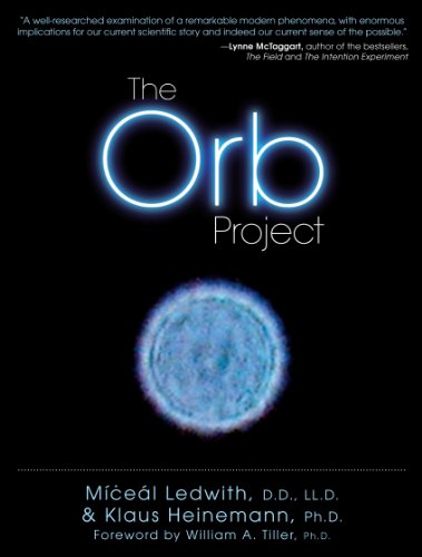 Imagen de archivo de The Orb Project a la venta por Half Price Books Inc.