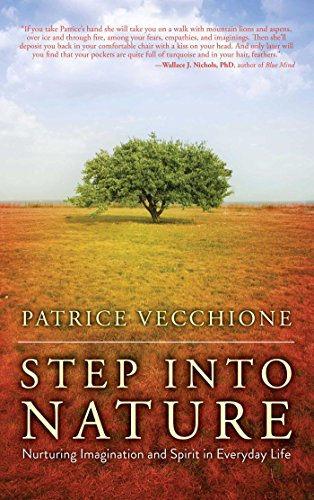Stock image for Step into Nature : Nurturing Imagination and Spirit in Everyday Life for sale by Better World Books: West