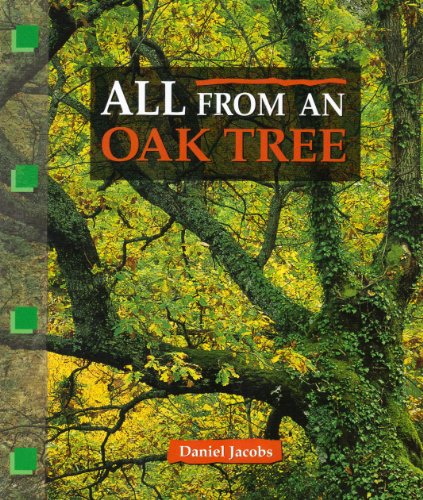 Beispielbild fr All from an oak tree (Newbridge discovery links) zum Verkauf von SecondSale