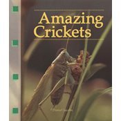 Beispielbild fr Amazing Crickets (Newbridge discovery links) zum Verkauf von Wonder Book
