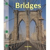 Beispielbild fr Bridges (Newbridge Discovery Links) zum Verkauf von Wonder Book