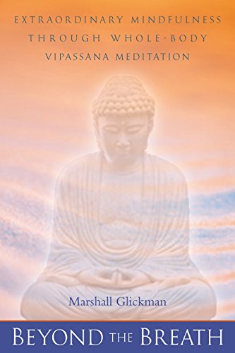 Imagen de archivo de Beyond the Breath: Extrordinary Mindfulness through Whole Body Vipassana Yoga Meditation a la venta por Kennys Bookshop and Art Galleries Ltd.