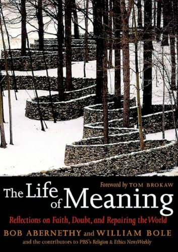 Imagen de archivo de The Life of Meaning: Reflections on Faith, Doubt, and Repairing the World a la venta por Cheryl's Books