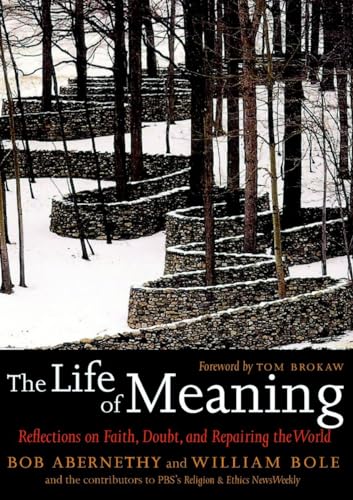 9781583227589: The Life of Meaning: Reflections on Faith, Doubt, and Repairing the World