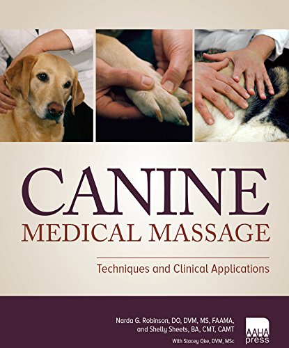 Stock image for Canine Medical Massage: Techniques and Clinical Applications for sale by Book Deals