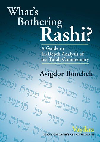 9781583304006: What's Bothering Rashi? -- Vayikra (What's Bothering Rashi Series)