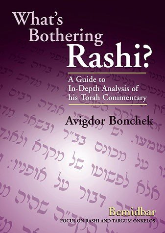 9781583304747: What's Bothering Rashi? -- Bamidbar (What's Bothering Rashi Series) [Hardcove...