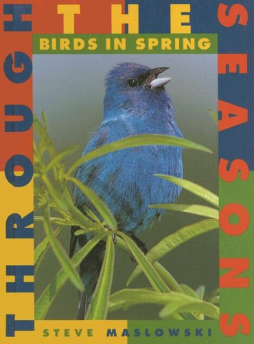 9781583400562: Birds in Spring (Through the Seasons)
