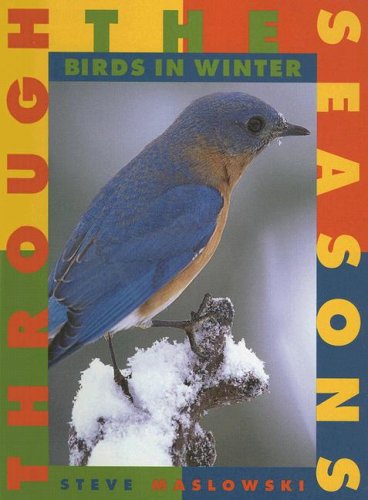 Beispielbild fr Birds in Winter (Through the Seasons) zum Verkauf von Irish Booksellers