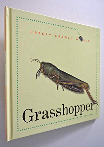 9781583403815: Grasshopper (Creepy Crawly)