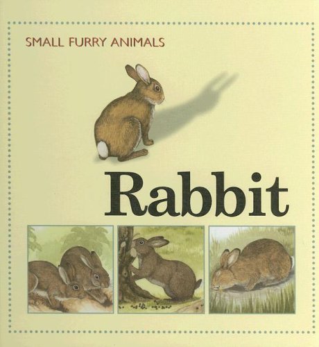 Rabbit (Small Furry Animals) (9781583405215) by Morris, Ting
